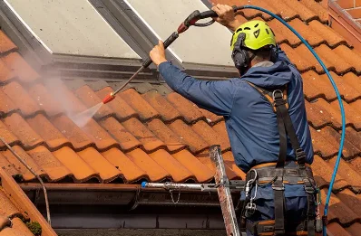 Démoussage et hydrofuge de toiture à Chatenet